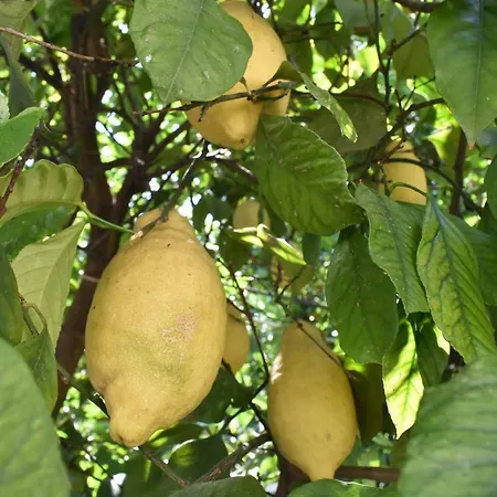 Casa Saca' Πομπηία